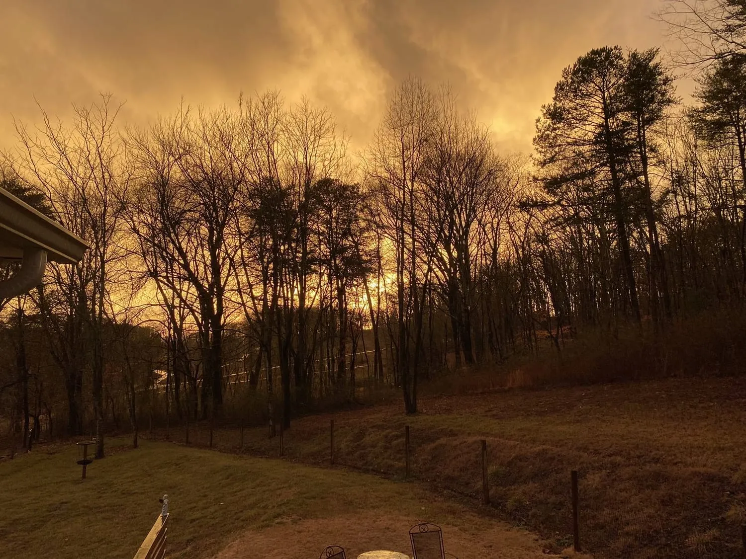 The property at dusk, bare trees against an orange sky